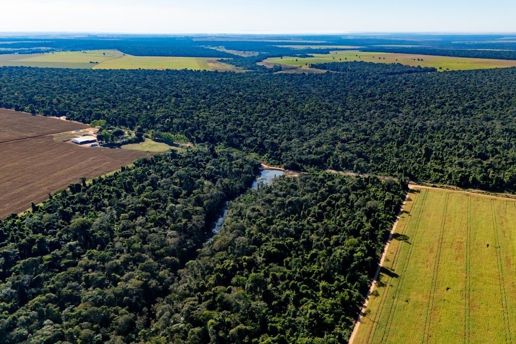 Entidade diz que o campo preserva, mas há excesso de regras travando os produtores